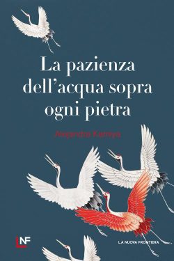 La pazienza dell'acqua sopra ogni pietra libreria rotondi