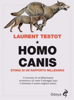 LibreriaRotondiHomoCanis