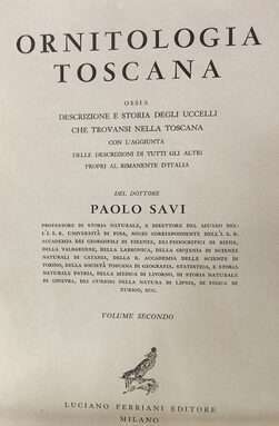 Animali - Ornitologia toscana ossia descrizione e storia degli 3 e1699696267346