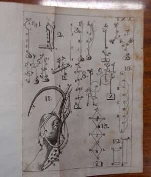 Medicina - De motu animalium - Gli elementi dell'arte sfigmica o sia la dottrina del polso