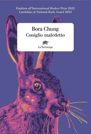 Corea - Coniglio maledetto libreria rotondi