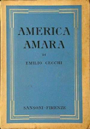 Letteratura italiana - LibreriaRotondiAmericaAmara