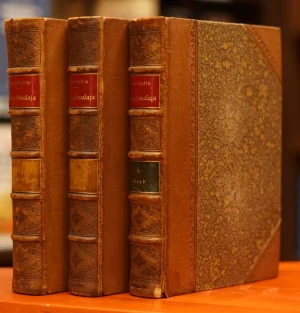 Transhimalaja libreria rotondi