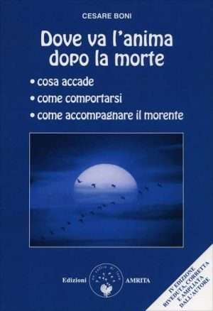 Reincarnazione e karma - Dove va lanima dopo la morte boni amrita libreria rotondi
