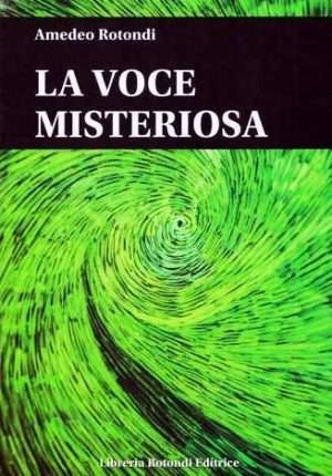 Amedeo Rotondi - La voce misteriosa OK 1