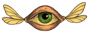 la visione